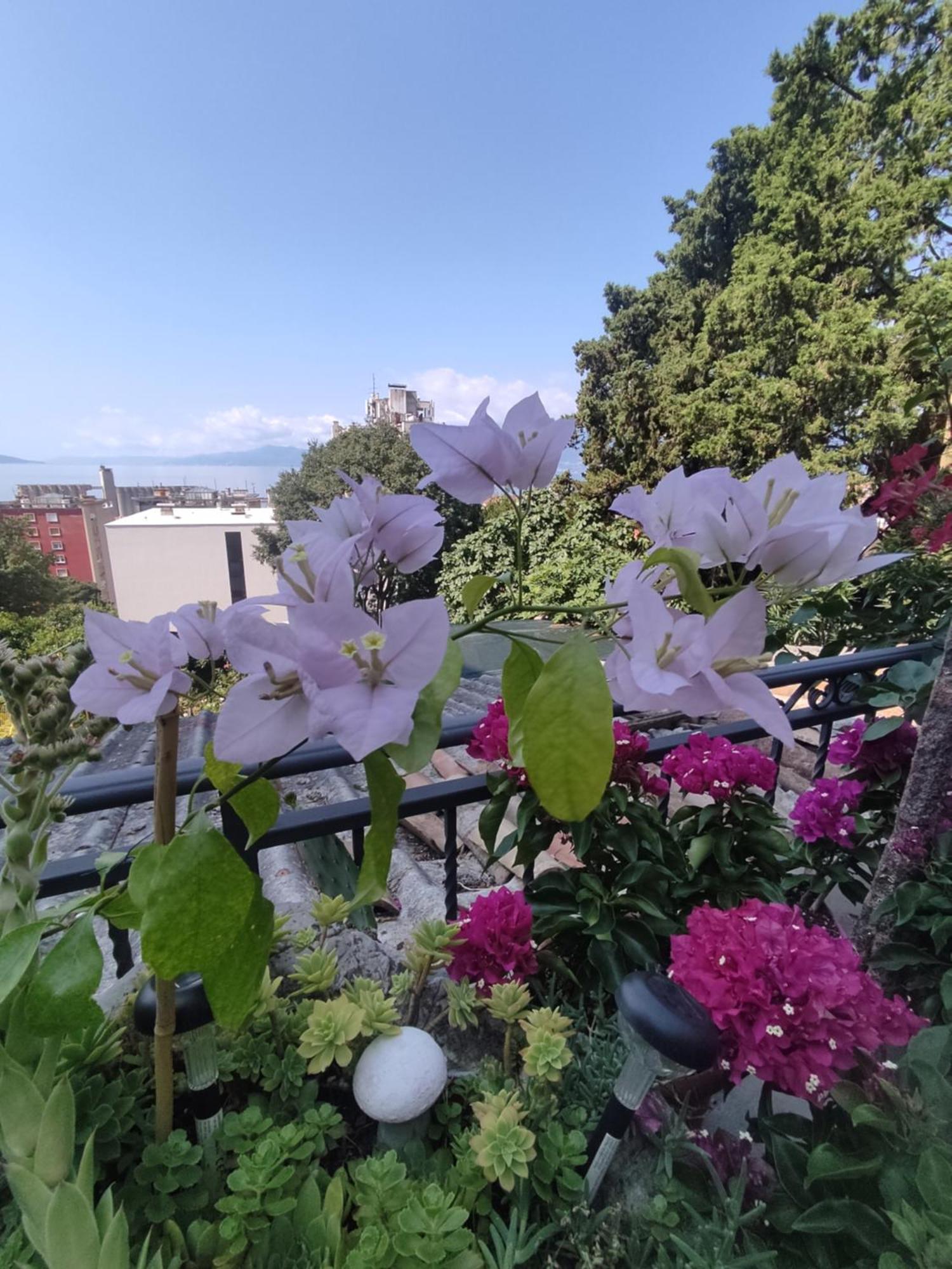 Ferienwohnung Apartman Bella Vista Rijeka Exterior foto